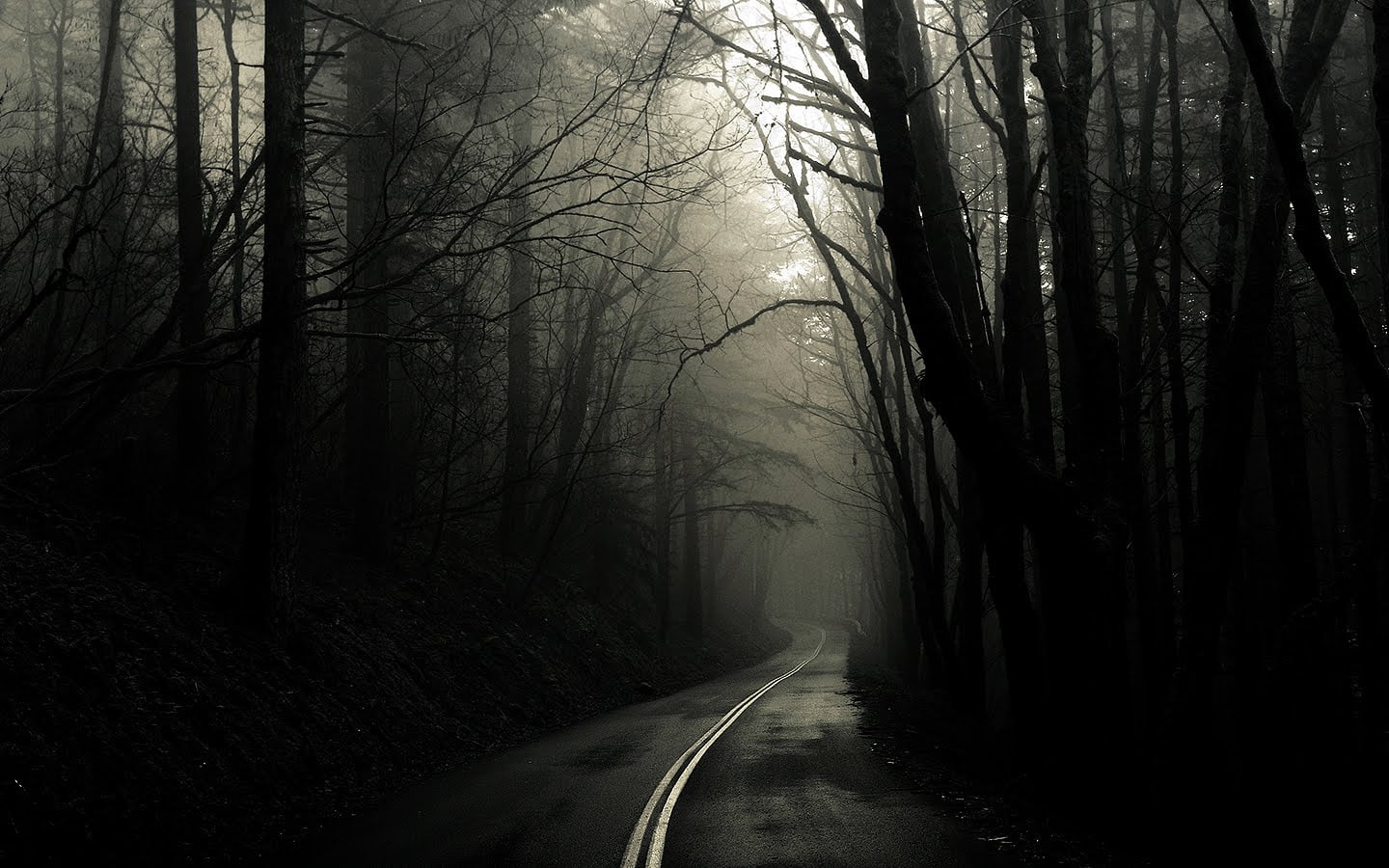 gothic-forest.jpg
